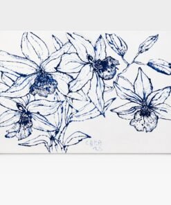 Christian Brechneff Orchids