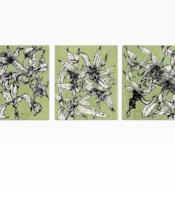 Christian Brechneff, Dendrobiumnoratakunaga I ink and oil on handmade pape