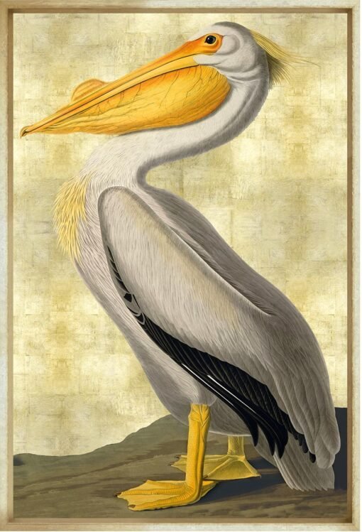 American White Pelican and L'oiseau Royal Prints - Image 2