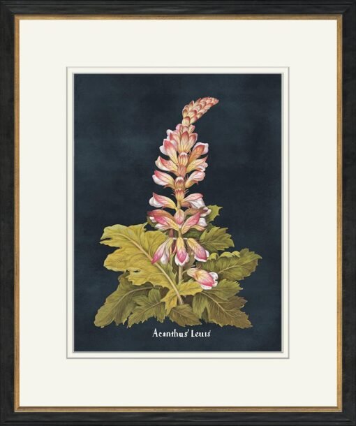 Besler Botanicals On Navy - Image 5