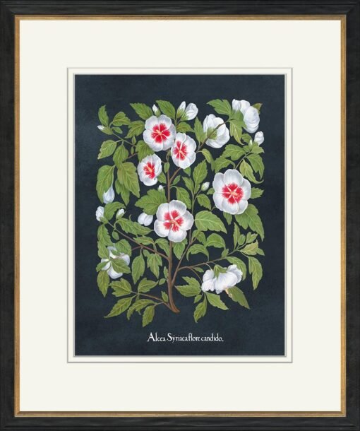 Besler Botanicals On Navy - Image 4