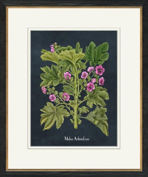 Besler Botanicals On Navy - Image 2