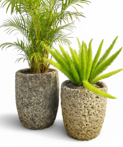 Caliza Stone Coral Plant Pots