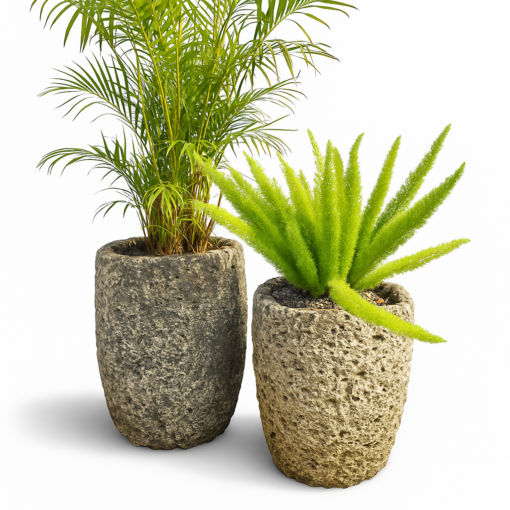 Caliza Stone Coral Plant Pots