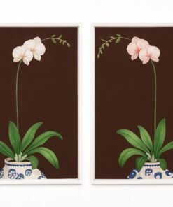 Orchids Painting in a Brown Background By Nancy Walker