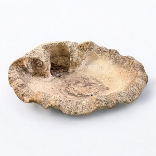 Shell Shaped Wall Fountain Basin - Image 2