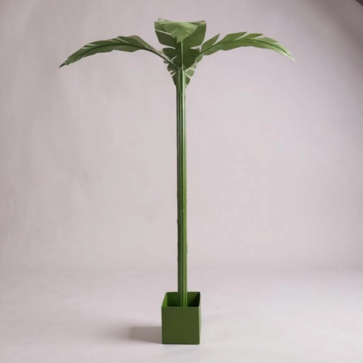 Large Green Decorative Coastal Palm Tree