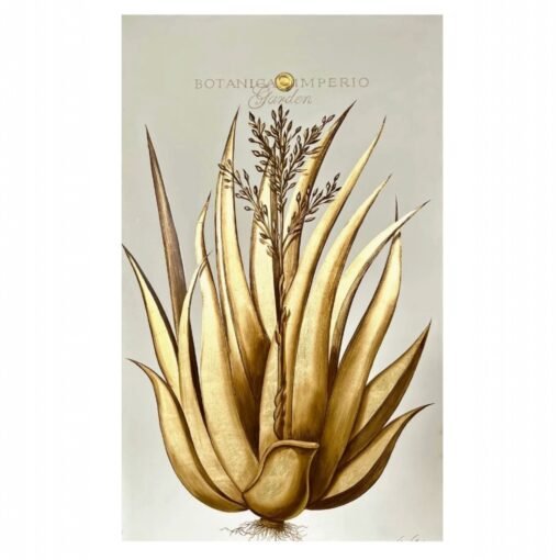 Italian original Painting Aloe Vera Gold Leaf I