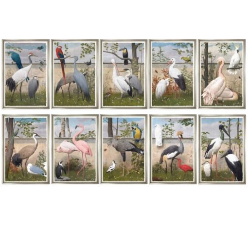 English Exotic Birds - Devonshire Exclusive