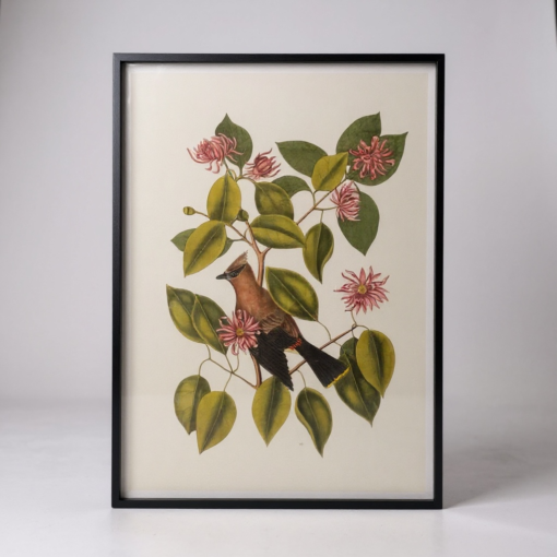 Bird and Botanical Print with Black Frame