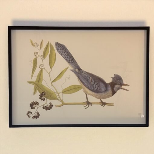 African Bird Print with Black Frame