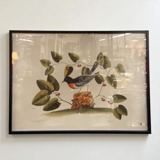 African Bird Print with Glossy Black Frame - Image 2