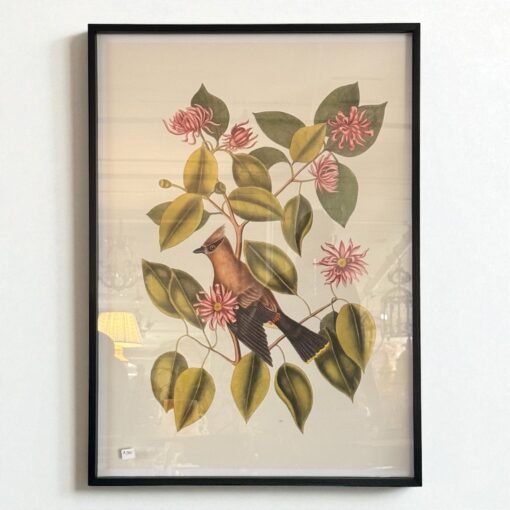 Bird and Botanical Print with Black Frame - Image 2
