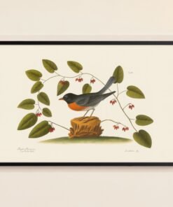 African Bird Print with Glossy Black Frame