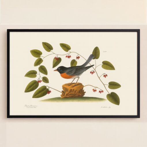 African Bird Print with Glossy Black Frame