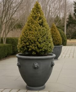 Pair of Classic Lead Lion Head Planters