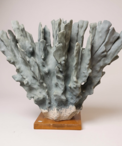 Sculptural Faux Coral on a Lucite  Base