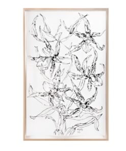 Oncidium Hastilabium Orchid  Christian Peltenburg-Brechneff