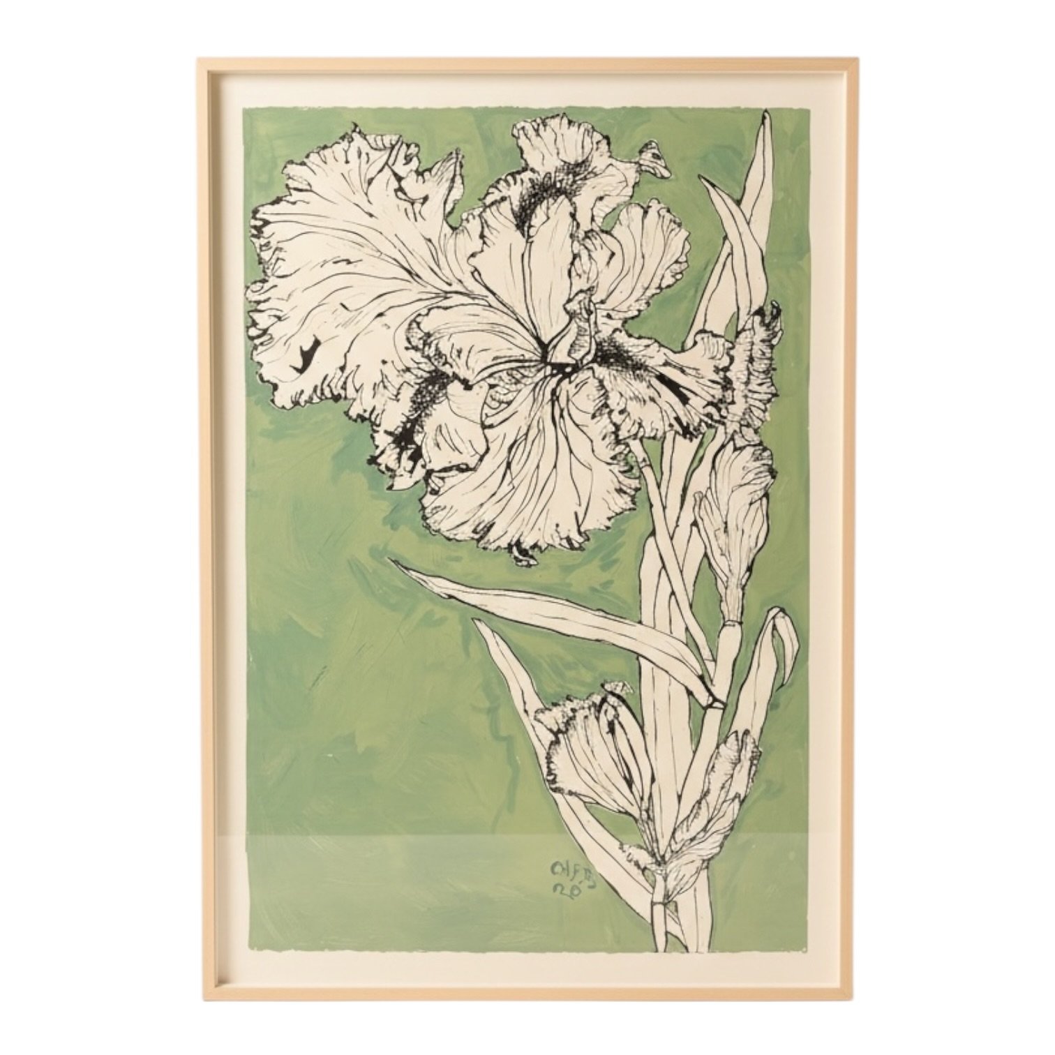 Christian Peltenburg-Brechneff — Iris Green Background