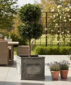 Classic English Lead Planters