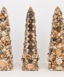 Shell-Encrusted Obelisks