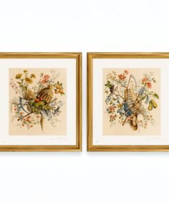 Lucinda Oaks Botanical Prints