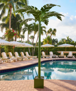 Large Green Decorative Coastal Palm Tree
