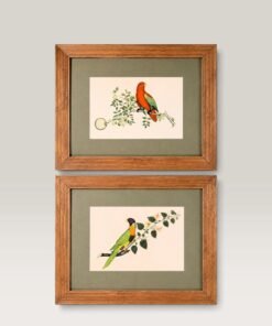French Botanical Bird Prints