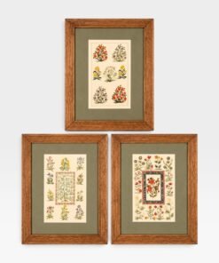 French Botanical Floral Prints