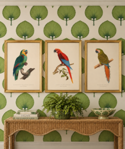 Italian Framed Exotic Bird Prints – 18" × 25"