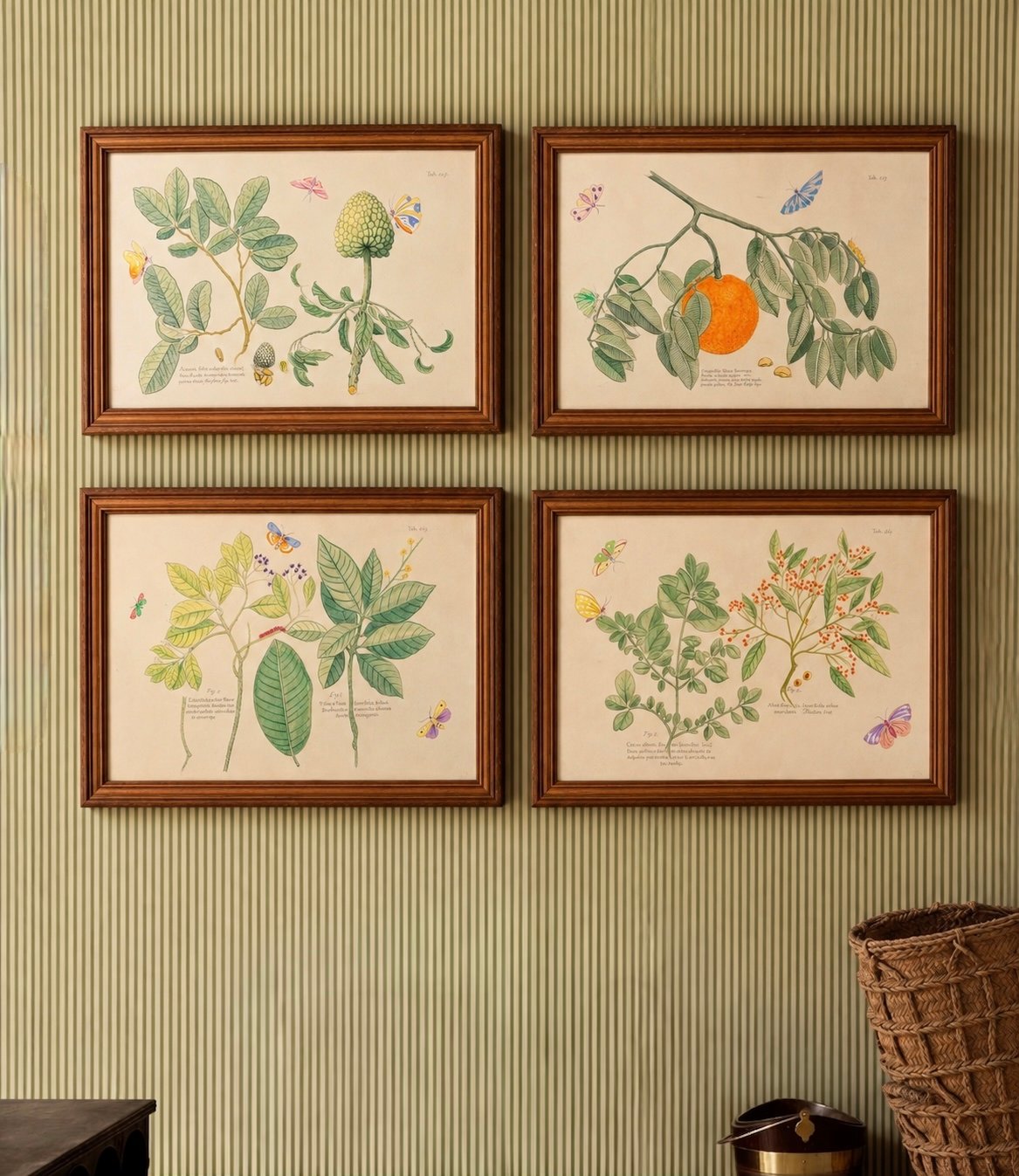 Framed Botanical Prints – 17" × 24"
